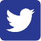 Icon awesome twitter square